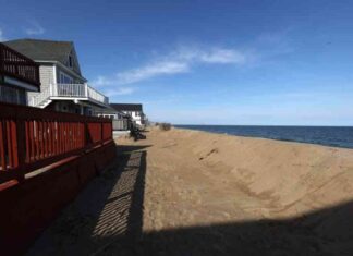 Missing Maryland Woman Brittnee Dancho: Latest Updates and News news-01102024-061233