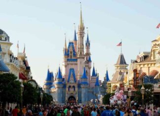 Is Disney World Open After Hurricane Milton? Debunking Fake Flooding Photos with AI Analysis news-11102024-060228