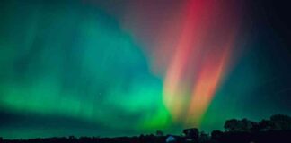 news-11102024-180853