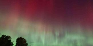 news-13102024-192604