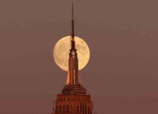 Hunter’s Moon Supermoon: Your Complete Guide news-18102024-091220