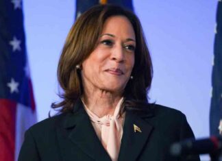 Kamala Harris Net Worth 2024: Current VP Salary and Income Status news-23102024-214614