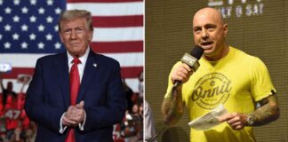 news-26102024-041849