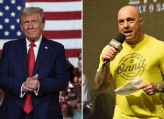 Joe Rogan’s Stance on Donald Trump: What You Need to Know news-26102024-041849