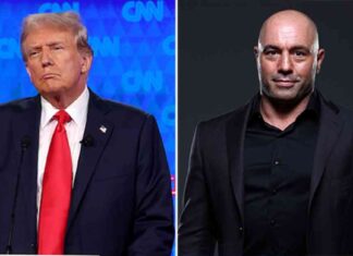 Donald Trump on Joe Rogan Podcast: Key Moments and Takeaways news-26102024-223213