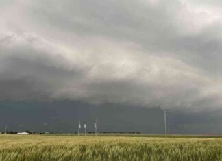 Halloween Storm Threat: Tornado Watch in Oklahoma – Essential Information news-01112024-054850