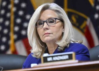 Donald Trump’s Criticism of Liz Cheney: Explained news-03112024-134751