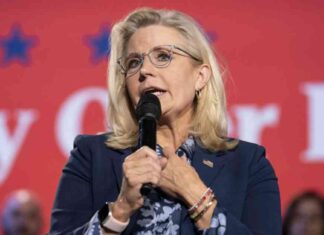 5 Things About Liz Cheney Endorsing Kamala Harris: Former GOP Rep. news-03112024-194829