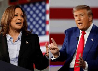 Election 2024: Kamala Harris vs. Donald Trump Poll Updates & Analysis news-04112024-224949