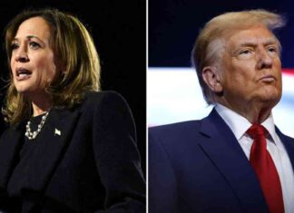 2024 Election Projections: Harris vs. Trump – Predicted Winner? news-05112024-225715