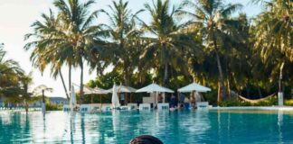 news-10112024-212339