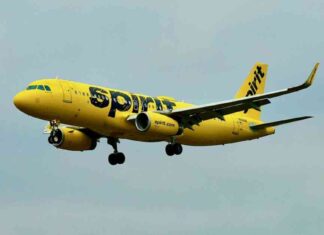Spirit Airlines Chapter 11 Bankruptcy: Potential Shutdown News and Updates news-18112024-215613