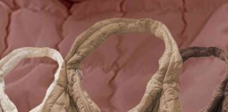 news-20112024-100524