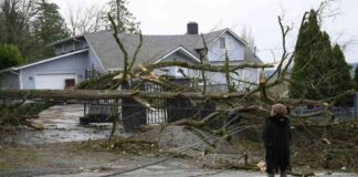 news-21112024-180747