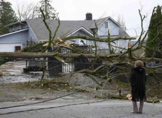 Understanding Bomb Cyclones and Pacific Northwest Weather Forecast Updates news-21112024-180747