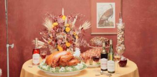 news-27112024-053208