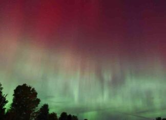 Thanksgiving Aurora Borealis Forecast: Northern Lights Visibility Update news-27112024-234056