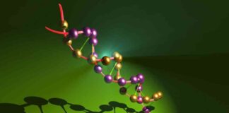 news-28112024-114447