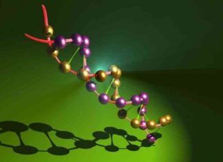 Uncover Your DNA Secrets: Explore the Hidden Truths Within Your Genes news-28112024-114447