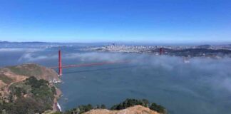 california-earthquake-triggers-tsunami-warning-latest-updates