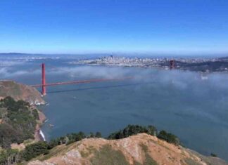 California Earthquake Triggers Tsunami Warning: Latest Updates california-earthquake-triggers-tsunami-warning-latest-updates