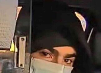 Luigi Mangione’s Family Speaks Out Amid UnitedHealthcare Case – E! Online luigi-mangiones-family-speaks-out-amid-unitedhealthcare-case-e-online