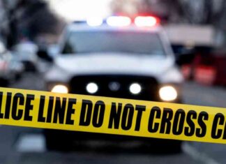 School Shootings in 2024: Statistics and Analysis school-shootings-in-2024-statistics-and-analysis