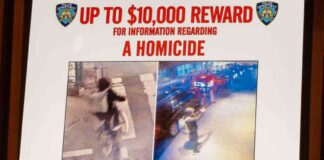 updates-on-suspect-behind-targeted-killing-of-brian-thompson