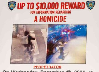 Updates on Suspect Behind Targeted Killing of Brian Thompson updates-on-suspect-behind-targeted-killing-of-brian-thompson