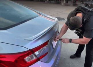 July Law Eliminates Specific License Plate Tags Forever july-law-eliminates-specific-license-plate-tags-forever