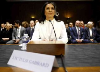 Tulsi Gabbard Confirmation: Latest Update on Nomination Status tulsi-gabbard-confirmation-latest-update-on-nomination-status