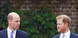 royal-family-pre-marriage-last-names-of-princes-william-and-harry