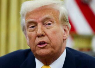 Trump and Putin to Discuss Ukraine’s Future in Phone Call trump-and-putin-to-discuss-ukraines-future-in-phone-call