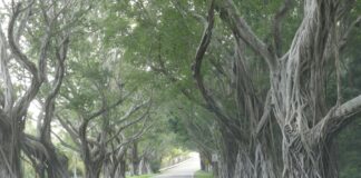 1166 Avenue Of The Americas Spotlight: What’s Inside This NYC Tower