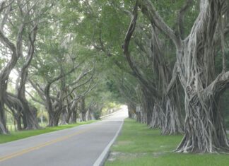1166 Avenue Of The Americas Spotlight: What’s Inside This NYC Tower 1166 Avenue Of The Americas Spotlight: What’s Inside This NYC Tower