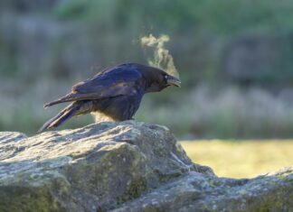 98.6 F To C Conversion: Quick Temperature Guide You’ll Always Use 98.6 F To C Conversion: Quick Temperature Guide You’ll Always Use