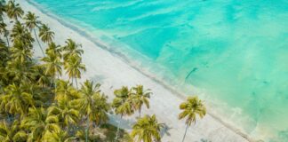 Al Roker: Life Story, Career Highlights, and Full Biography