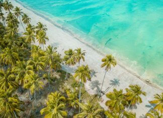 Al Roker: Life Story, Career Highlights, and Full Biography Al Roker: Life Story, Career Highlights, and Full Biography