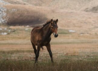 Alan Rickman: Life Story, Career Highlights, and Full Biography Alan Rickman: Life Story, Career Highlights, and Full Biography