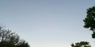 Alex Moffat: Life Story, Career Highlights, and Full Biography