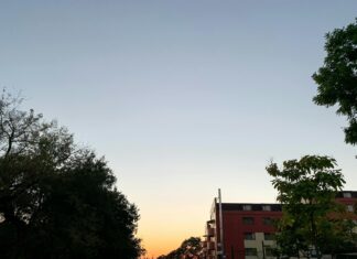 Alex Moffat: Life Story, Career Highlights, and Full Biography Alex Moffat: Life Story, Career Highlights, and Full Biography