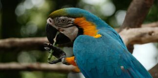 Amazon Smile Shutdown: What Happened And Where You Can Still Give Back