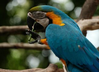 Amazon Smile Shutdown: What Happened And Where You Can Still Give Back Amazon Smile Shutdown: What Happened And Where You Can Still Give Back