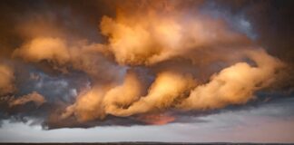 Amber Ruffin: Life Story, Career Highlights, and Full Biography