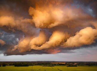 Amber Ruffin: Life Story, Career Highlights, and Full Biography Amber Ruffin: Life Story, Career Highlights, and Full Biography