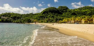 Andrew Schulz: Life Story, Career Highlights, and Full Biography Andrew Schulz: Life Story, Career Highlights, and Full Biography