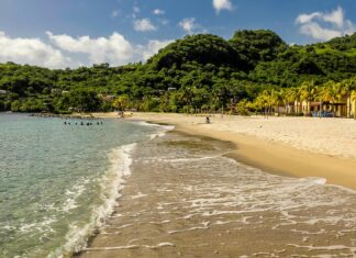 Andrew Schulz: Life Story, Career Highlights, and Full Biography Andrew Schulz: Life Story, Career Highlights, and Full Biography