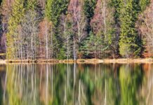 Anna Sawai Nude Scene Controversy: What Fans Are Saying Online