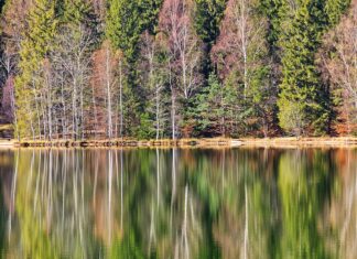 Anna Sawai Nude Scene Controversy: What Fans Are Saying Online Anna Sawai Nude Scene Controversy: What Fans Are Saying Online