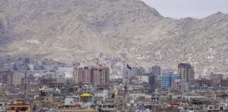 Ansel Elgort: Life Story, Career Highlights, and Full Biography Ansel Elgort: Life Story, Career Highlights, and Full Biography